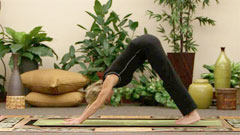 Downward Dog brings more oxygen to the head and the brain, stimulating mental functions
